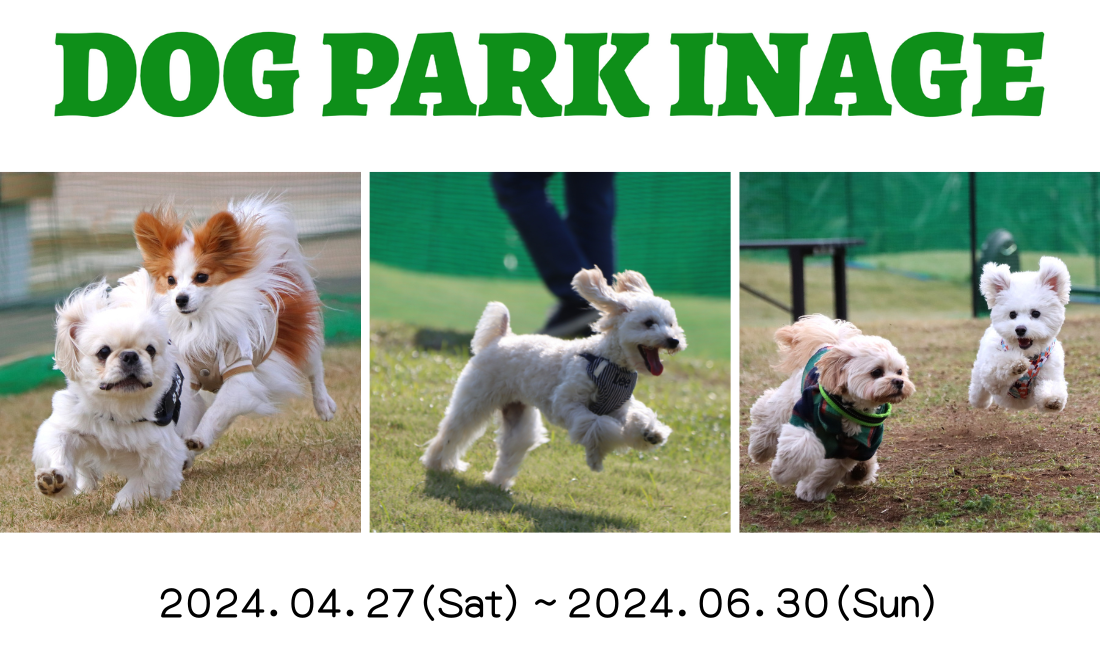 稲毛海浜公園内ピクニック広場にドッグラン「DOG PARK INAGE」が期間限定オープン！